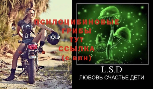 круглые Алексеевка